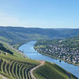 Ferienwohnungen und Gästezimmer Peter Busch, hotel in Bernkastel-Kues