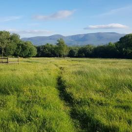 Woodford Guest House in old farm, hotel u Kilarneyu