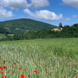 Belle Vue, hotel a Savigny