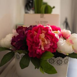 Hotel Scigliano, hotel em Rossano