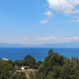 The Brothers Villa Hotel, hótel í Ohrid