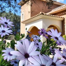 Traditional Villa Mandola