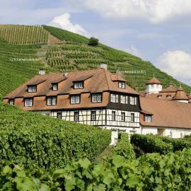 Hotel Residenz im Schloss Neuweier, hotell i Baden-Baden