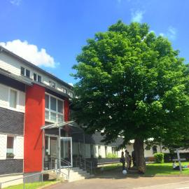 Neuhaus am Rennweg में, होटल Haus Rosenbaum am Rennsteig Gruppenhaus - Pension - Ferienhaus bis 50 Personen