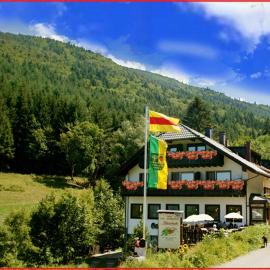 Waldgasthof Altersbach, מלון בואלדקירך