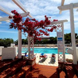 Villaggio Camping Oasi