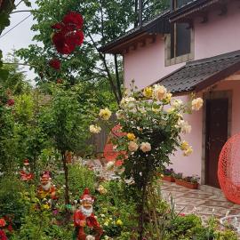 Pensiunea Happy Flowers, hotel Greciben