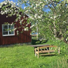 Tättas stuga på Malingsbo Herrgård, hotel i Malingsbo