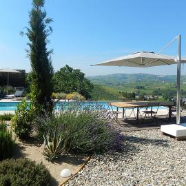 B&B Bionzo16