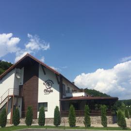 Pensiunea Cleja, hotel en Dobric