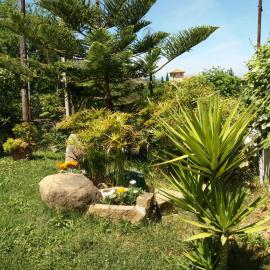 B&B Parco del Lago, hotel a Laureana Cilento
