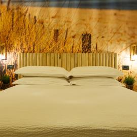 B&B 49 passi