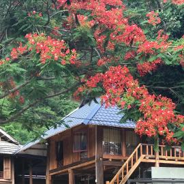Nha Tan - Mai Chau Homestay & Tours โรงแรมในไหมโจ๋ว