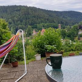 Miky Home, hotel in Calw