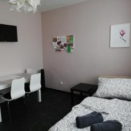 Apartmán Lednická