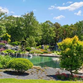Zen Garden Resort, Zánka