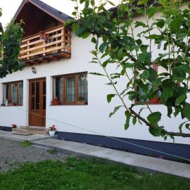 Pensiunea Ilea, hotel en Ieud