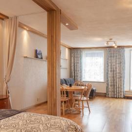 Cozy one room apartment with yard, hotel Juodkrantėben