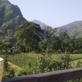 Yellow Valley Homestay
