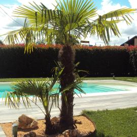 Springs Loft, hotel a Candelo