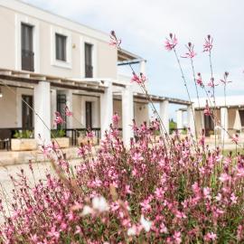 Agriturismo "Lu Puzzu", hotel in Torre Lapillo