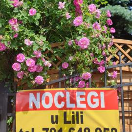 Noclegi u Lili, hotel i Człuchów