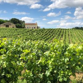 Chateau le Truch, hotel in Montussan