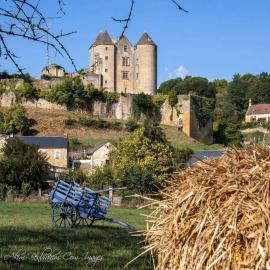 petite maison en pierre au coeur du Périgord noir, hotel in Salignac Eyvigues