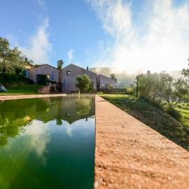 Vale do Ninho Nature Houses
