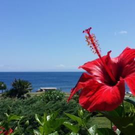 Sogno sul mare