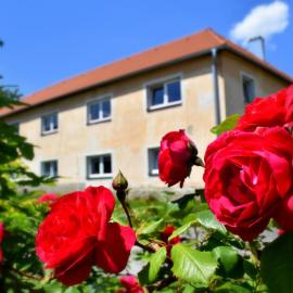 PENZION a FARMA NA BORŮVKOVÉM VRŠKU, hotel in Bujanov