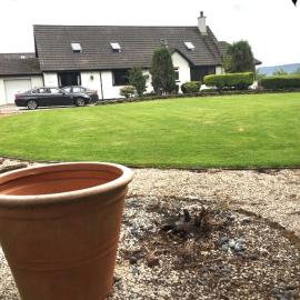 Kilberry Guest House, ξενοδοχείο σε Beauly