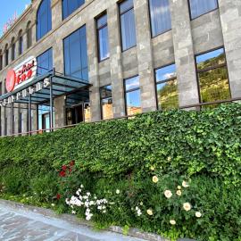 Mina Hotel: Goris şehrinde bir otel