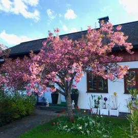 Haus Belli, hotel i Bad Aussee