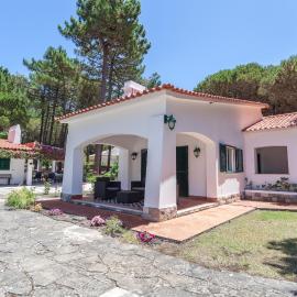 Ocean, Pines and Mountain - Renovated February 2025 - AC