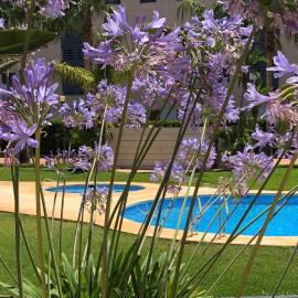 Apartment De Jardines, hotel in Denia