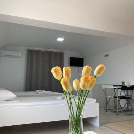 TIKI Apartments, hotel in Gevgelija