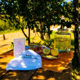 B&B La Terra di Parmenide – hotel w mieście Ascea