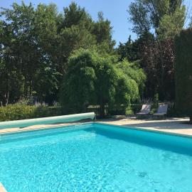 The Willow Tree