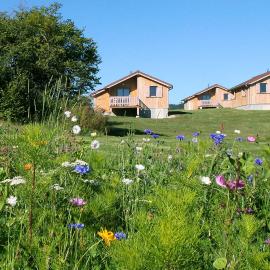 Chalets de Trémontagne 3 étoiles, Hotel in Prénovel
