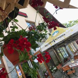 Pensiunea Minodora, hotel a Polovragi