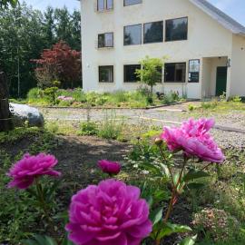 Auberge Ninguruforet, hotell i Biei