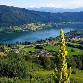 Ferienwohnungen Claudia: Altossiach şehrinde bir otel