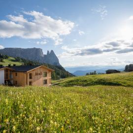 Hotel Seelaus, hotel in Alpe di Siusi