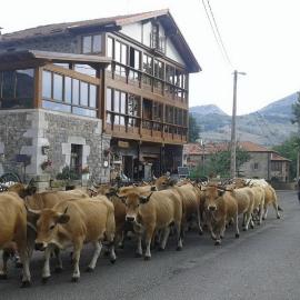 Posada el Mirador, Hotel in Lavín