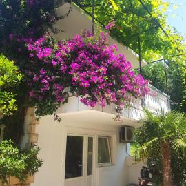 Apartments Irena