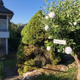Ferienwohnung Alkapa, hotel u gradu Hilzingen