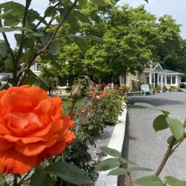 copperfield house, hotel di Cashel