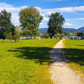 Urlaub am Wallersee, hotel in Seekirchen am Wallersee
