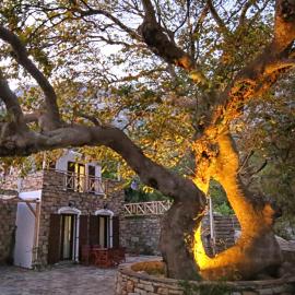 Ικαριων Γη, hotel in Manganítis